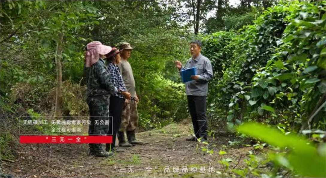 微信截图_20250423222808.jpg