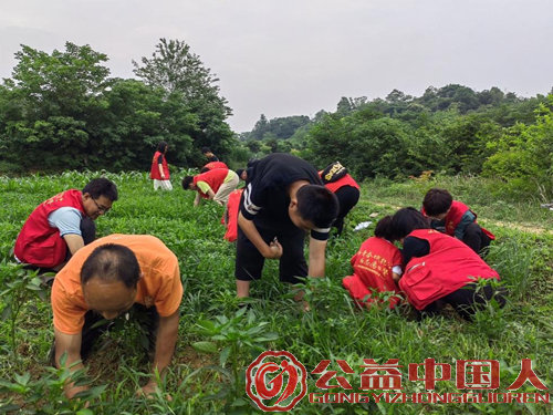 乡土间的助残答卷——长沙市上善助残服务中心的十年深耕(图11) 乡土间的助残答卷——长沙市上善助残服务中心的十年深耕(图11)