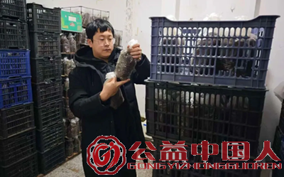 安图县永庆乡:“龙蛋”生金 山芋头拓宽富民路(图2) 安图县永庆乡:“龙蛋”生金 山芋头拓宽富民路(图2)