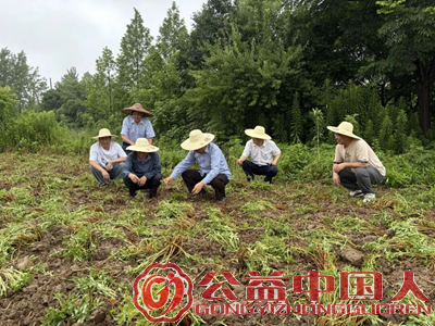 ��������̽��· ũ���ÿ��ڹŽ�&mdash;&mdash;�Ͼ��������Ļ��о��Ḱ�����������ӹ��翪չ���⵳�����������ר�����(ͼ3)